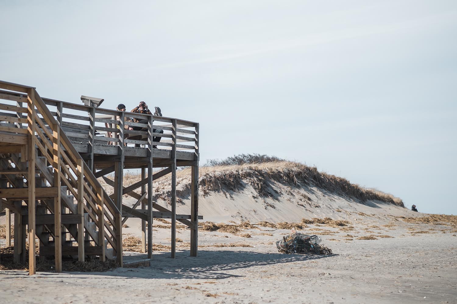 Plum Island