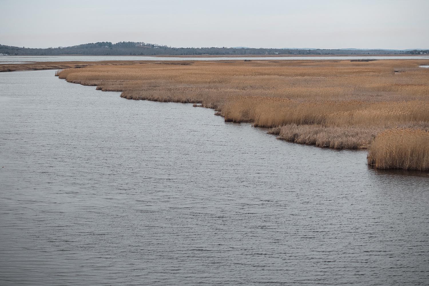 Plum Island