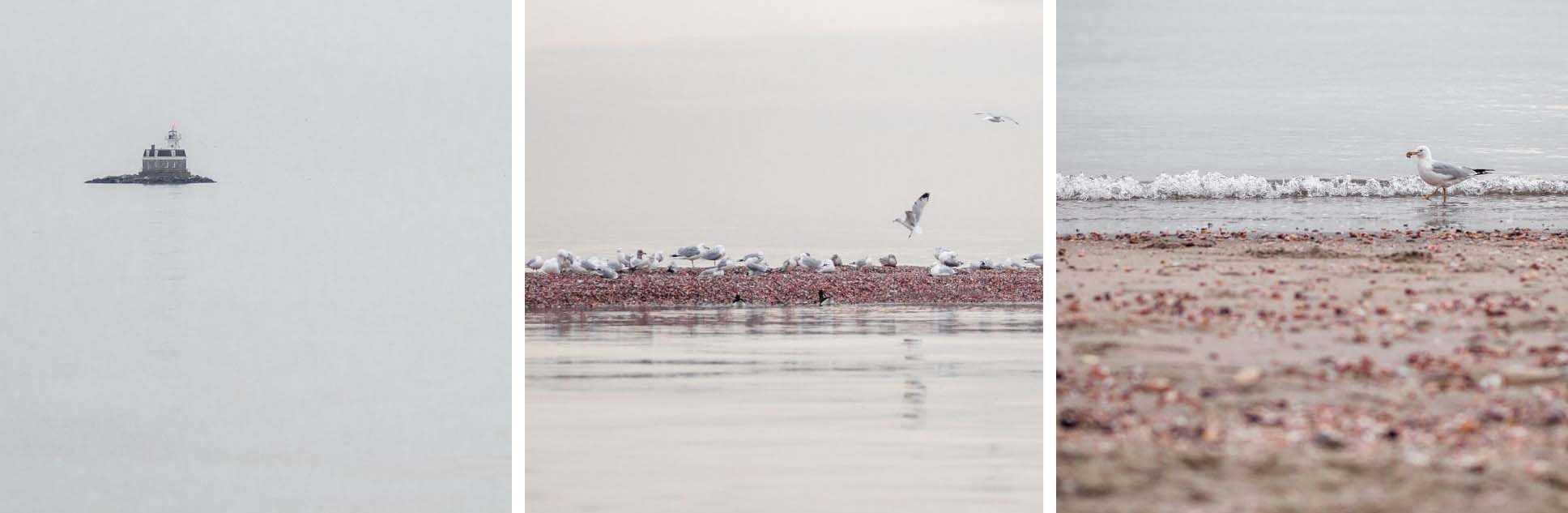 pink beach connecticut