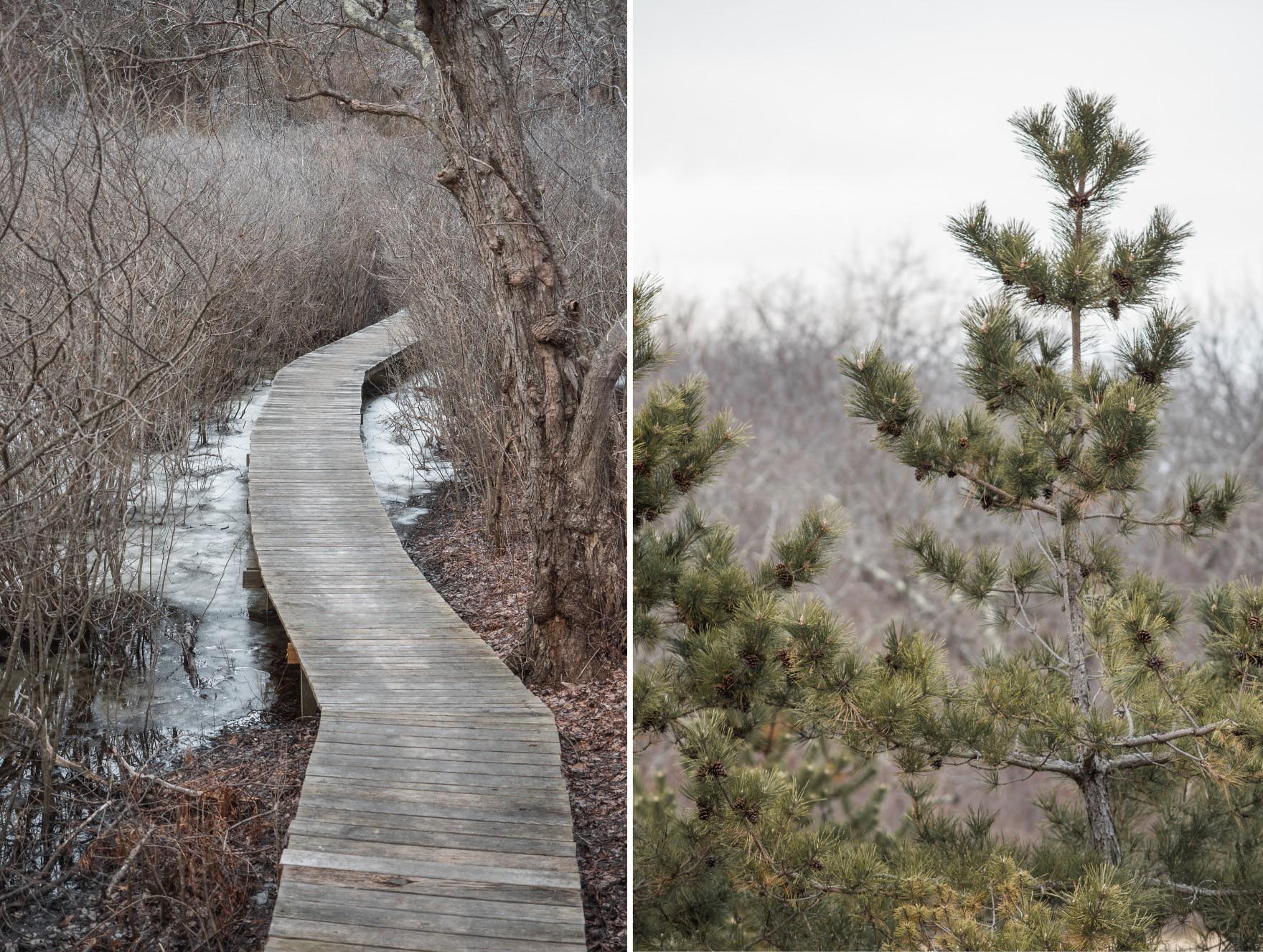 plum island ma 