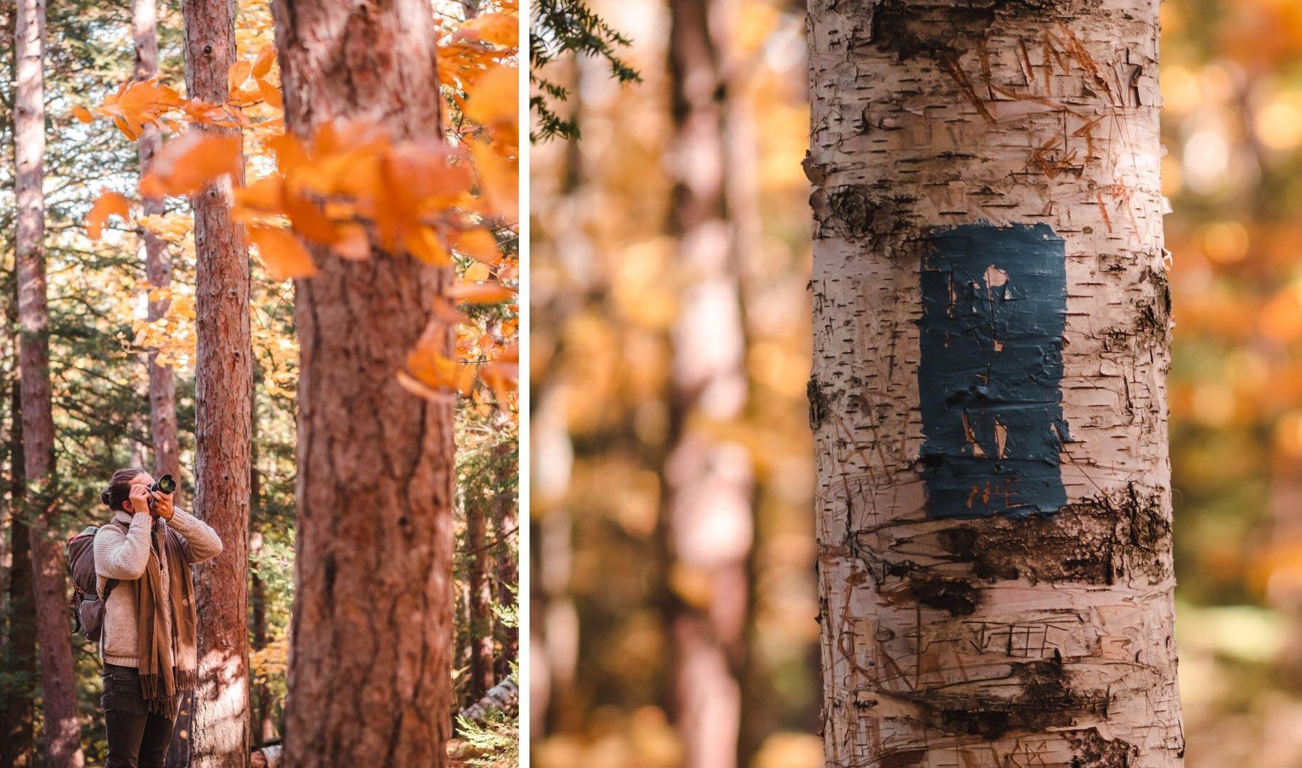 new hampshire hiking at fall (15)