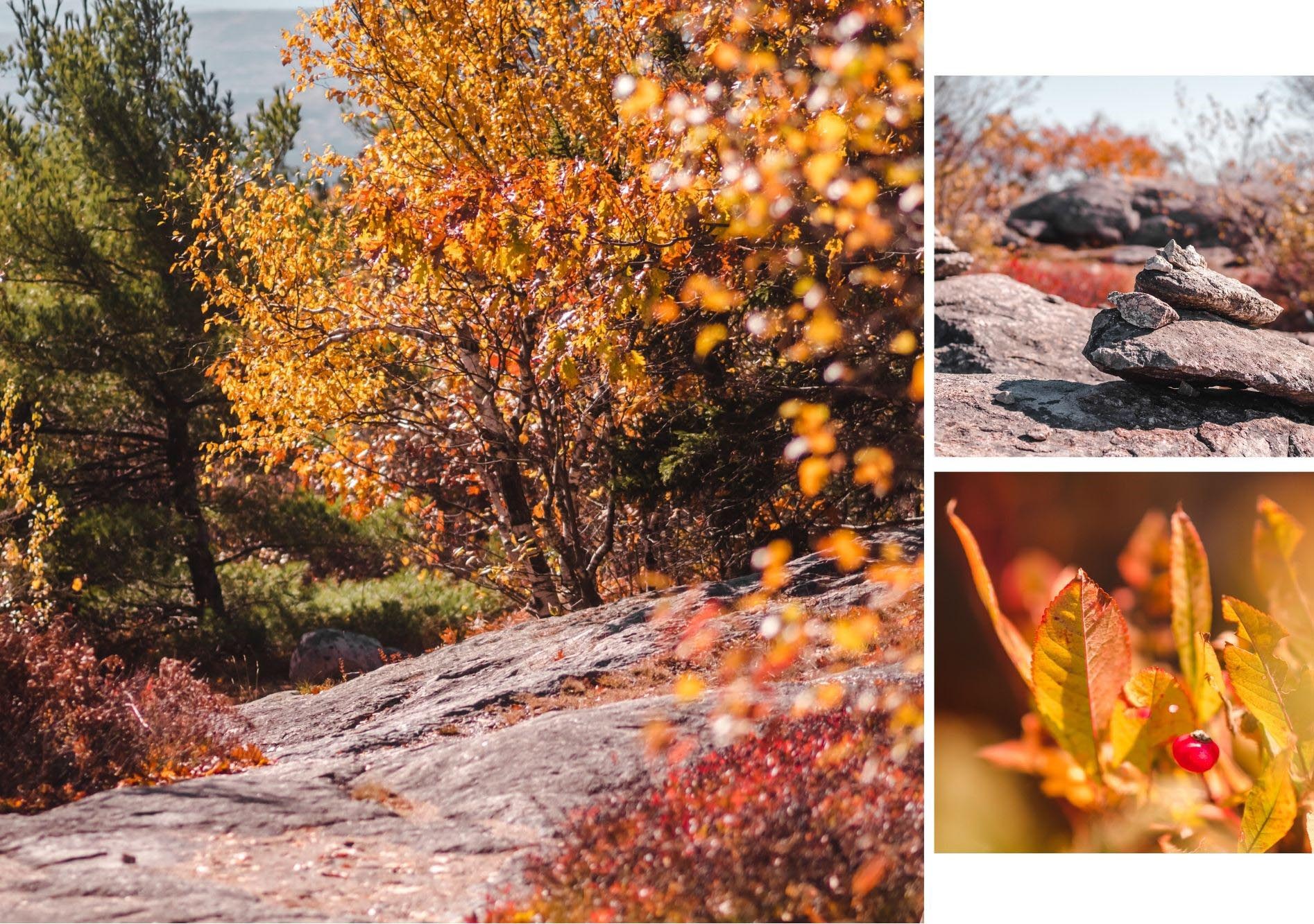 new hampshire hiking at fall (19)