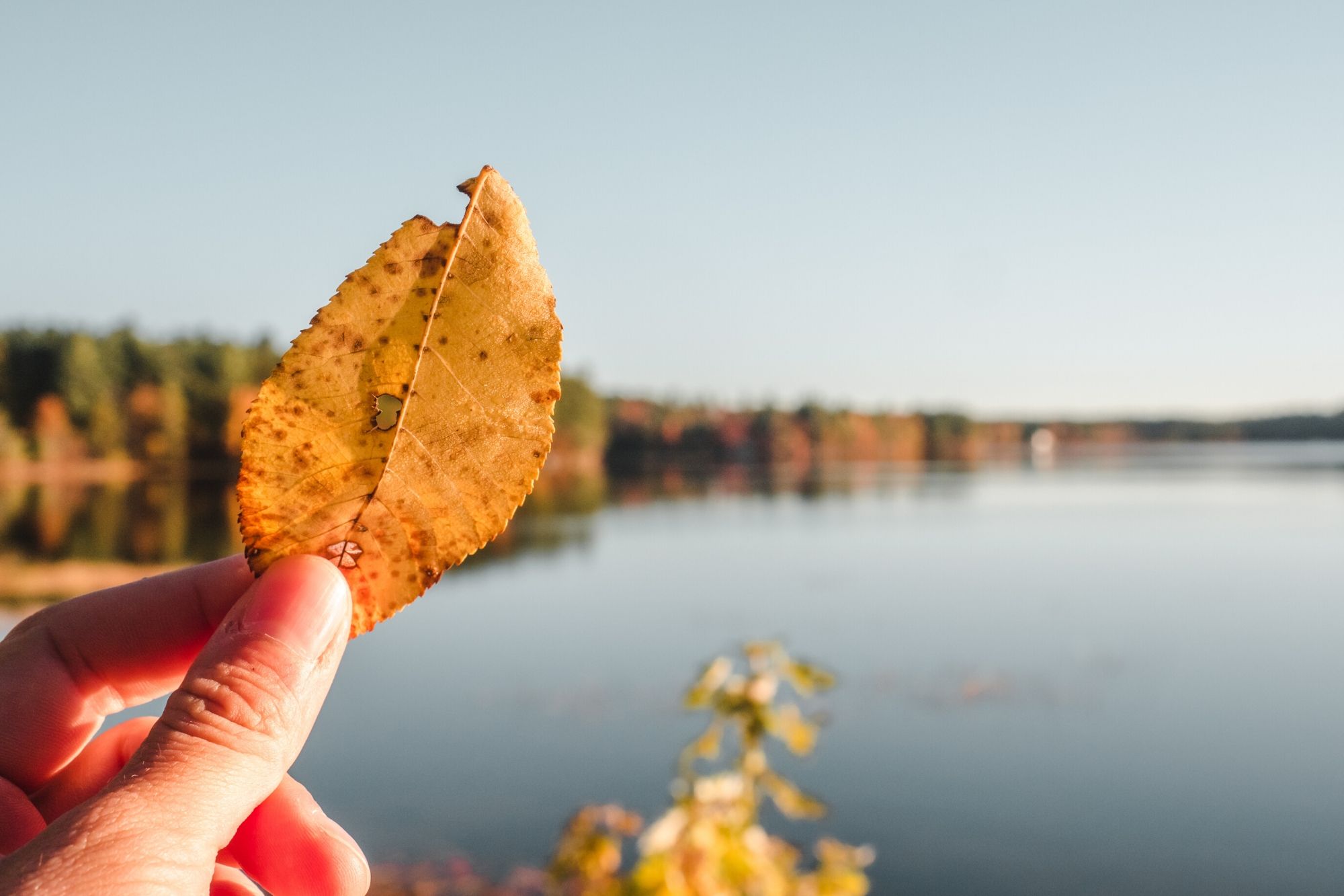 new hampshire hiking at fall (2)