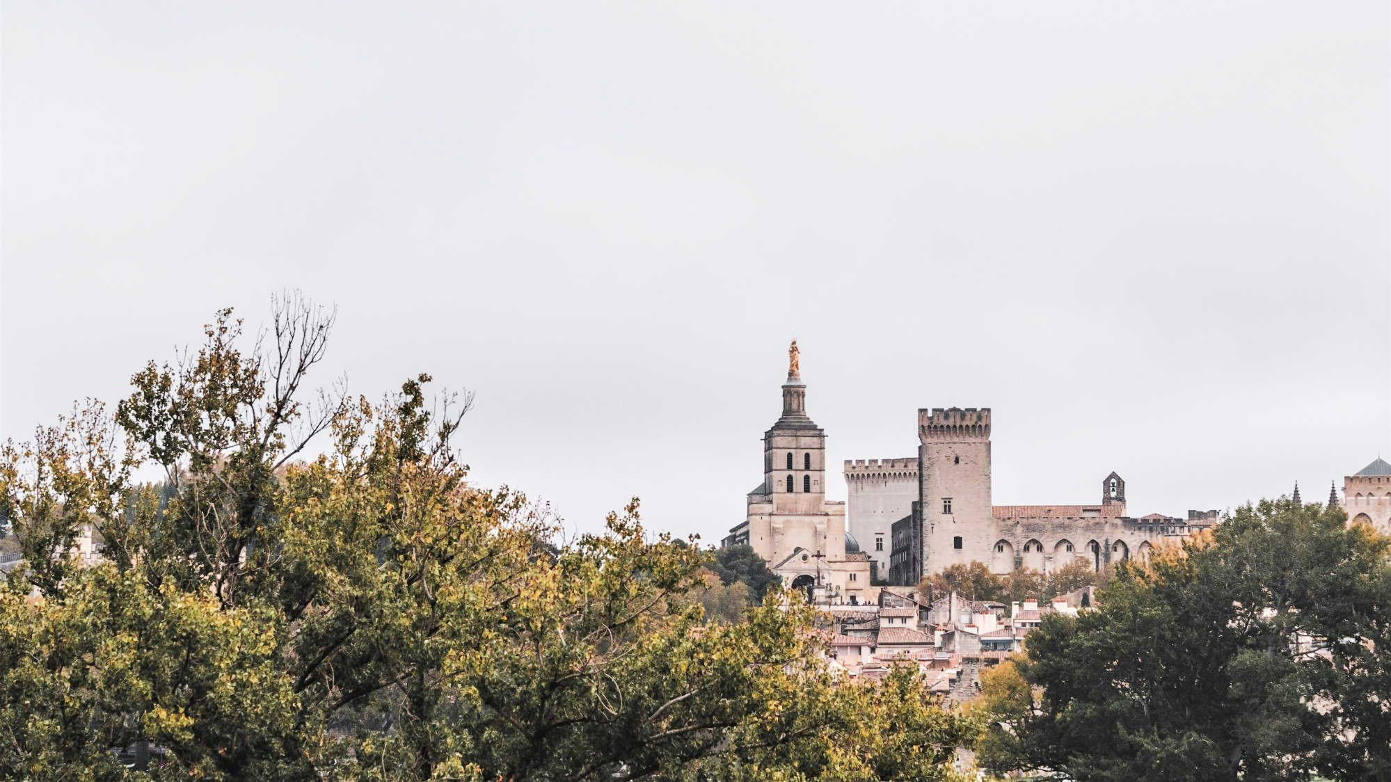 visiter avignon