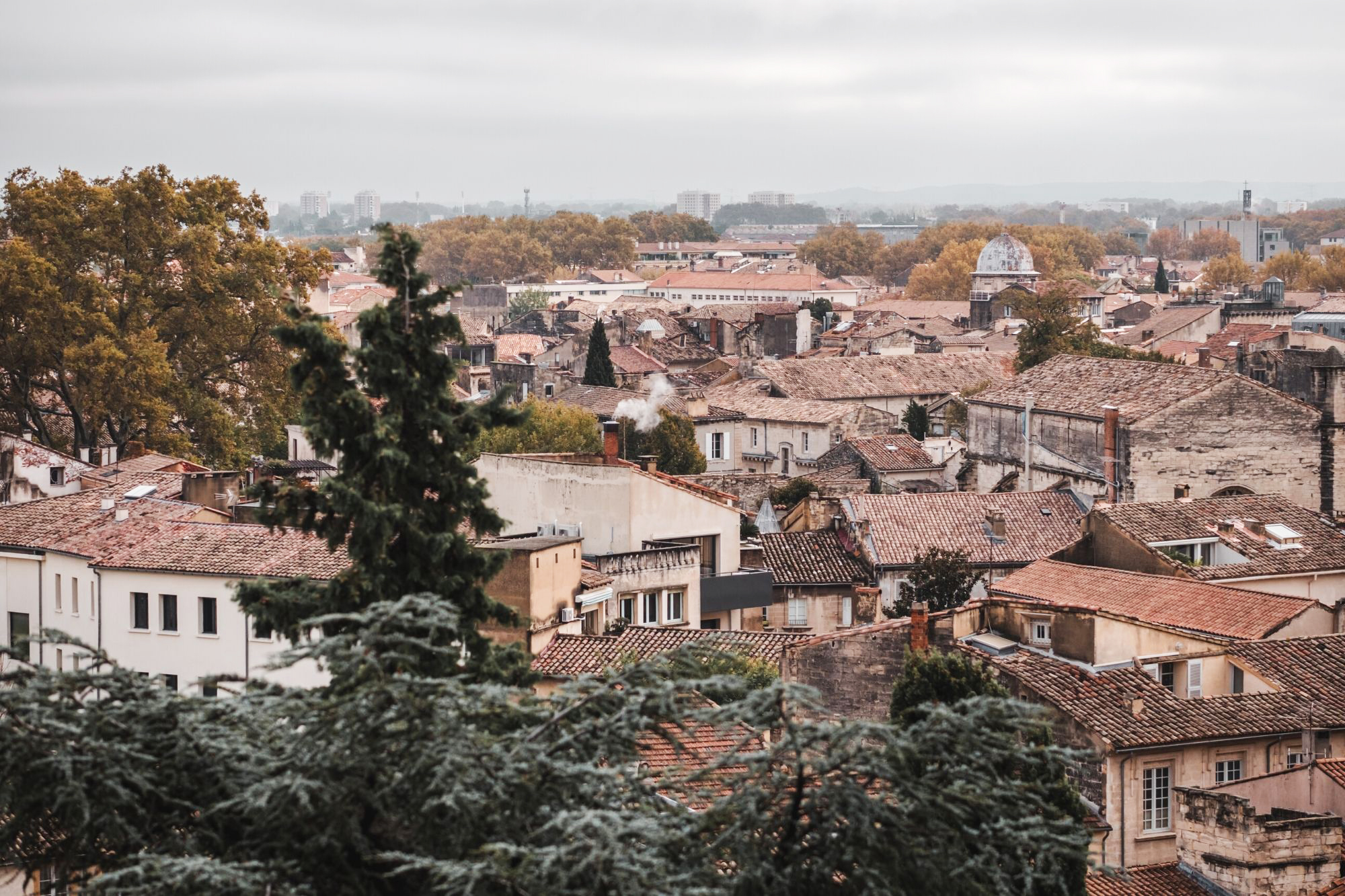 visiter avignon