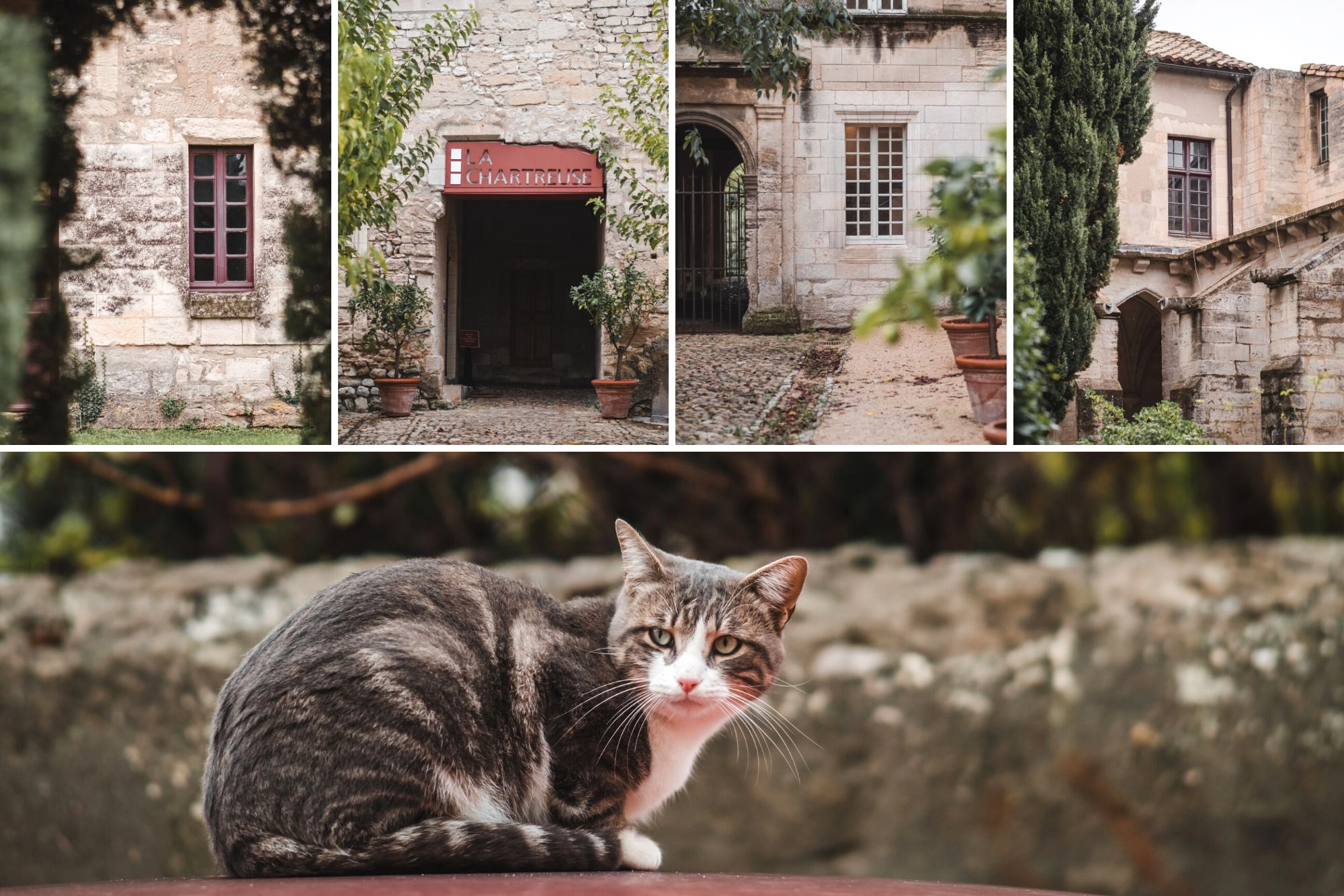 visiter villeneuve-lès-avignon