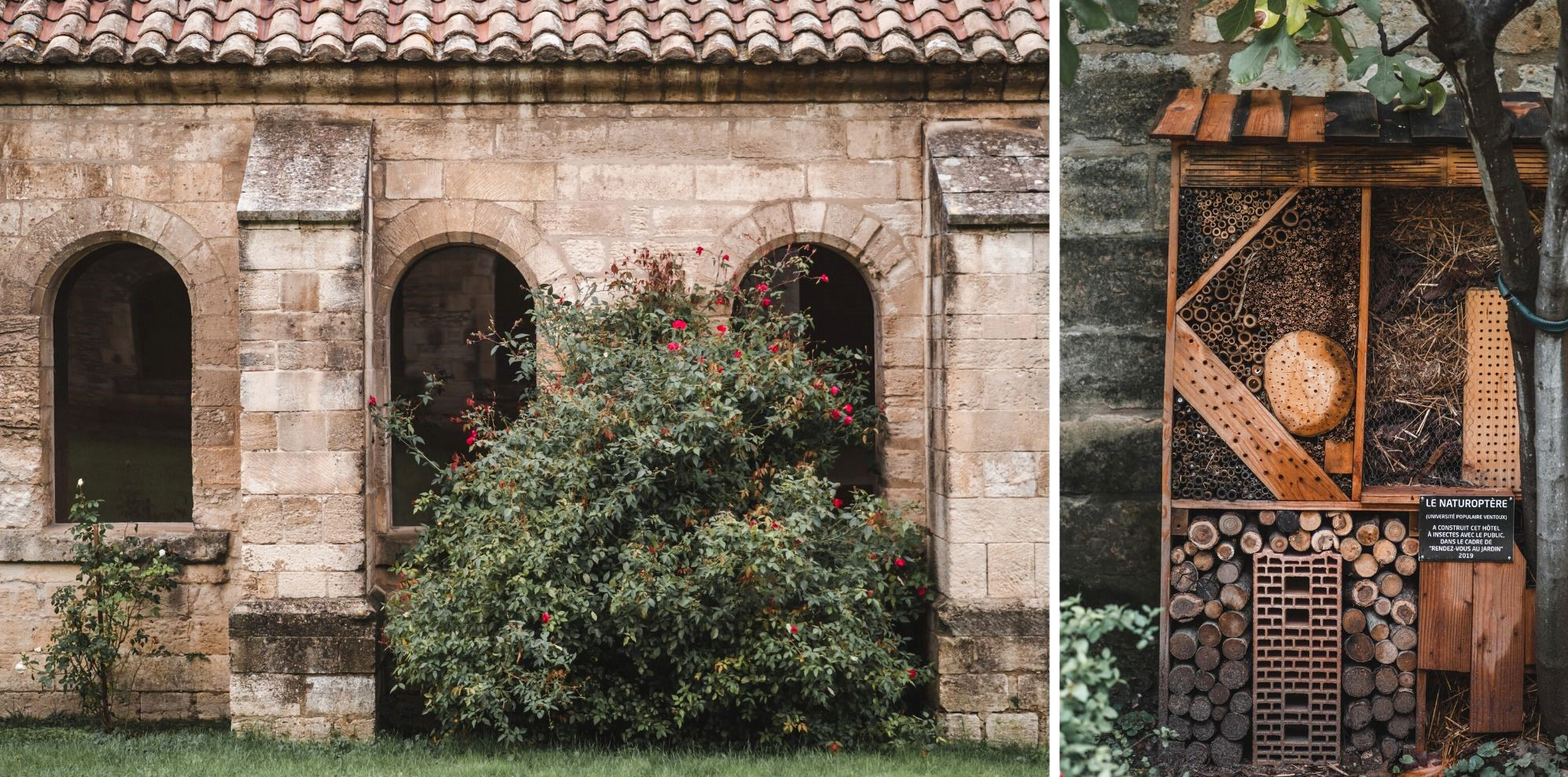 visiter villeneuve-lès-avignon