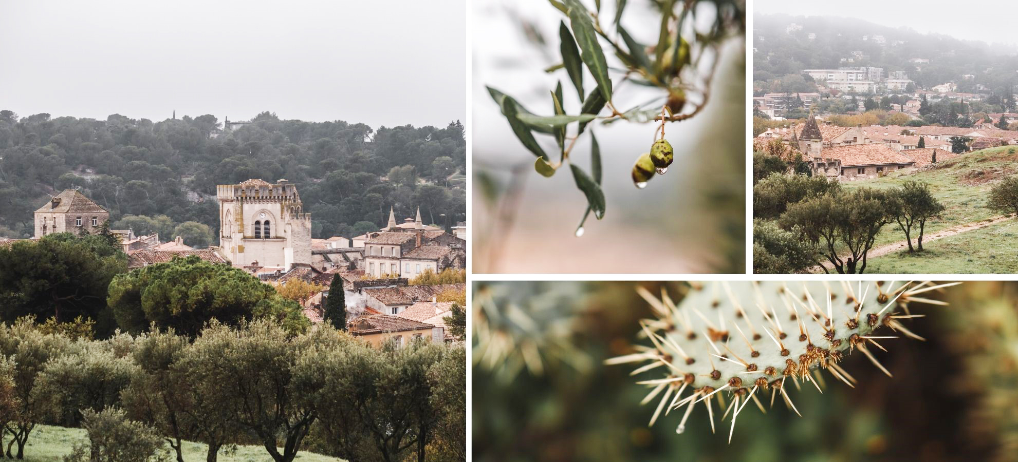 visiter villeneuve-lès-avignon