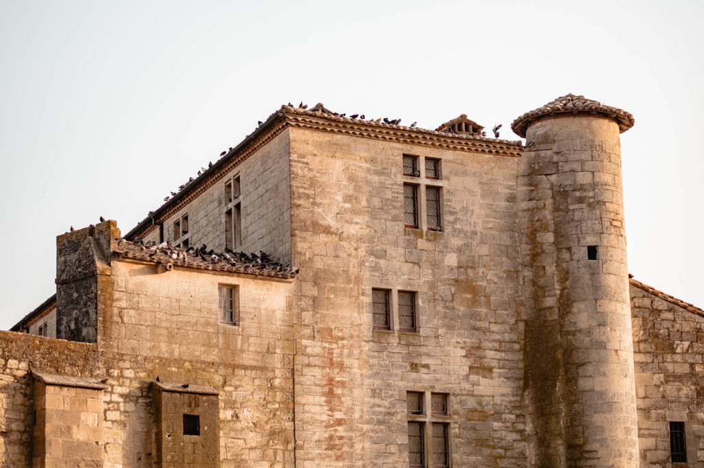 aigues mortes camargue