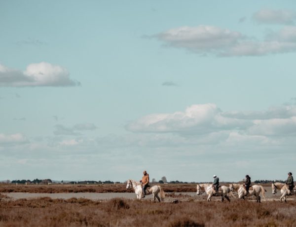 conseils-visite-camargue-saintes-marie-de-la-mer