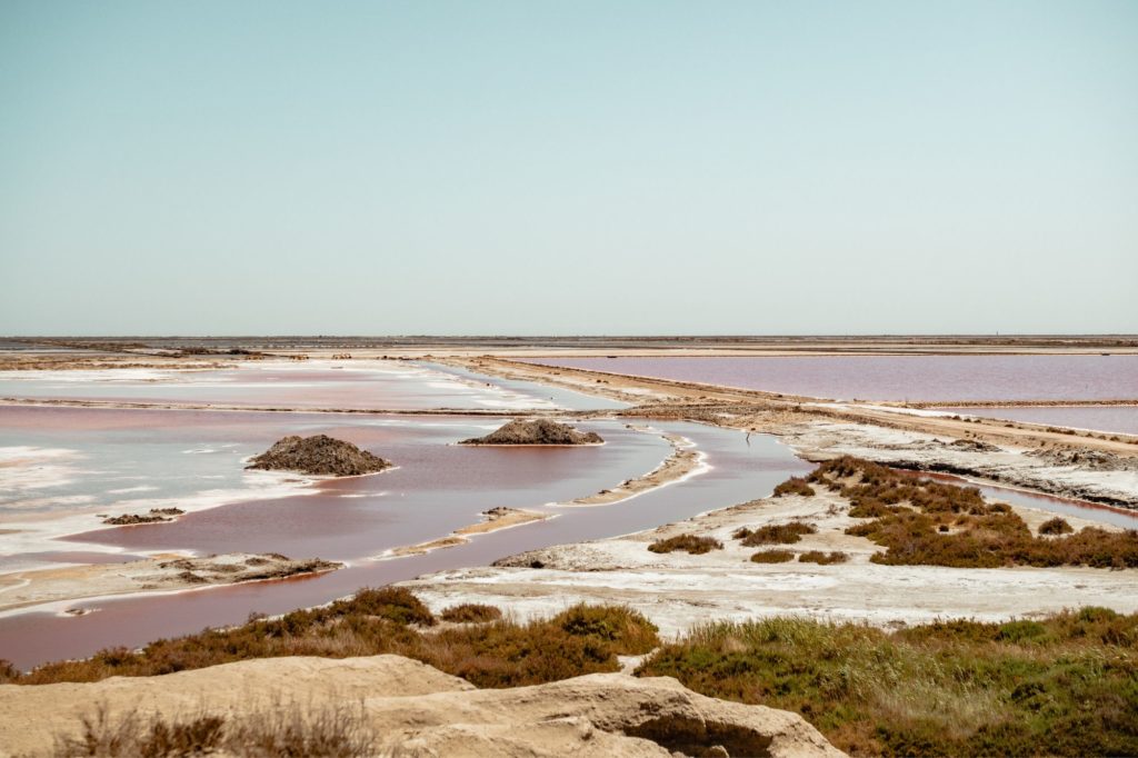 conseils-visite-camargue-salins