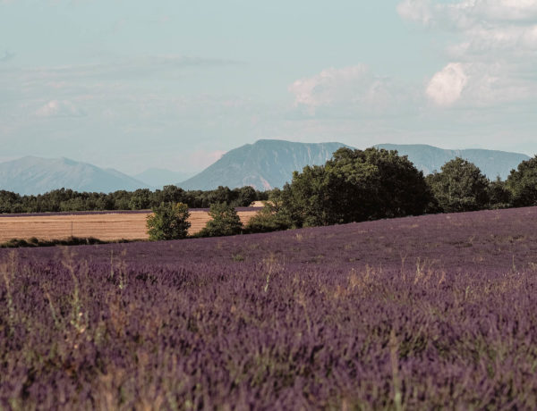 idées escapades dans le luberon