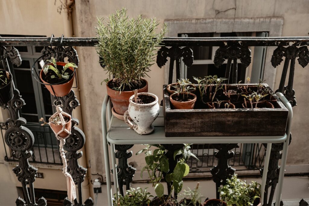 amenagement d'un balcon filant exposé nord-est