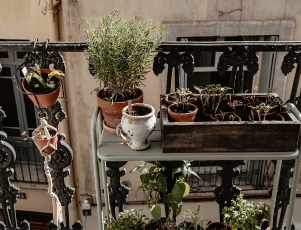 amenagement d'un balcon filant exposé nord-est